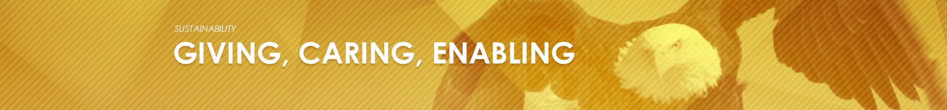 give-care-enable-banner give-care-enable-banner